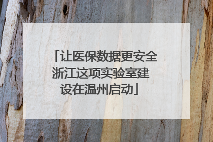 让医保数据更安全 浙江这项实验室建设在温州启动
