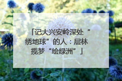 记大兴安岭深处“绣地球”的人：层林揽梦“绘绿洲”