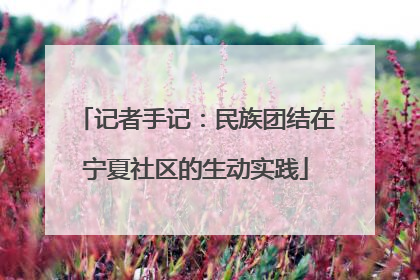 记者手记：民族团结在宁夏社区的生动实践