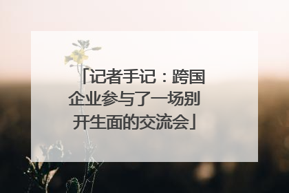 记者手记：跨国企业参与了一场别开生面的交流会