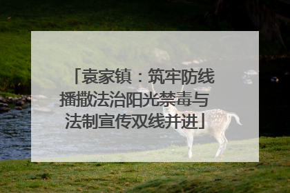 袁家镇：筑牢防线播撒法治阳光禁毒与法制宣传双线并进