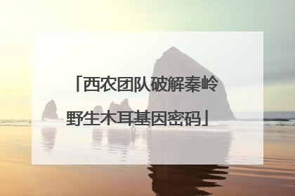 西农团队破解秦岭野生木耳基因密码