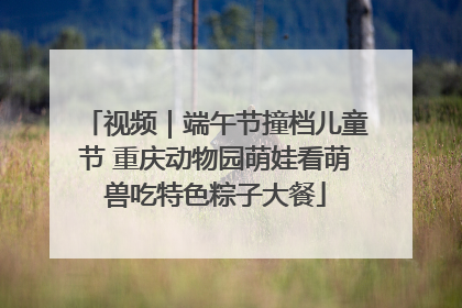 视频｜端午节撞档儿童节 重庆动物园萌娃看萌兽吃特色粽子大餐