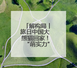 解构局丨旅日中国大熊猫回家！“萌实力”征服全球
