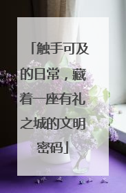 触手可及的日常，藏着一座有礼之城的文明密码