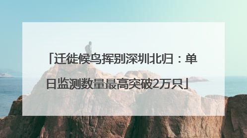 迁徙候鸟挥别深圳北归：单日监测数量最高突破2万只