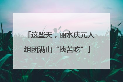 这些天，丽水庆元人组团满山“找苦吃”