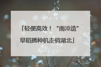 轻便高效！“南漳造”旱稻播种机走俏湖北