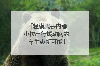 轻模式去内卷 小拉出行撬动网约车生态新可能