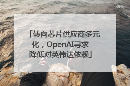 转向芯片供应商多元化，OpenAI寻求降低对英伟达依赖
