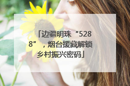 边疆明珠“5288”，烟台援藏解锁乡村振兴密码