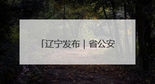 辽宁发布｜省公安厅出台15项举措助力全面振兴新突破三年行动决胜之战
