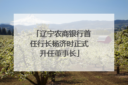 辽宁农商银行首任行长杨济时正式升任董事长
