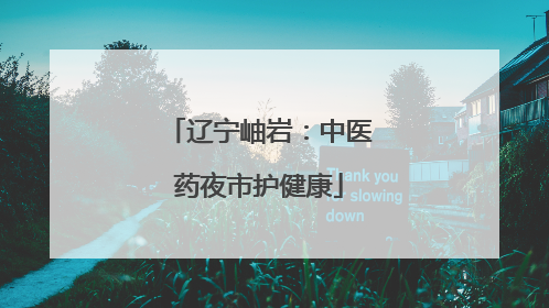 辽宁岫岩：中医药夜市护健康