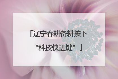 辽宁春耕备耕按下“科技快进键”