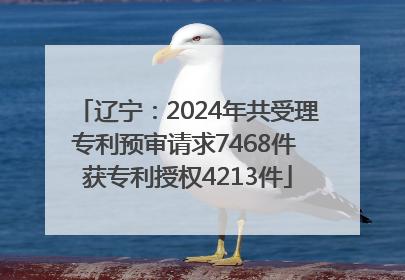 辽宁：2024年共受理专利预审请求7468件 获专利授权4213件