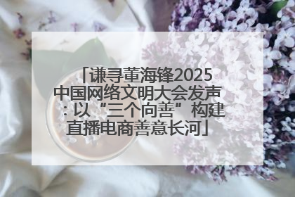 谦寻董海锋2025中国网络文明大会发声：以“三个向善”构建直播电商善意长河