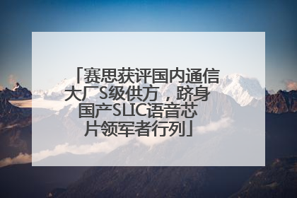 赛思获评国内通信大厂S级供方，跻身国产SLIC语音芯片领军者行列
