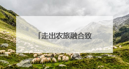 走出农旅融合致富路 村支书刘连云答红星新闻：让群众享发展成果