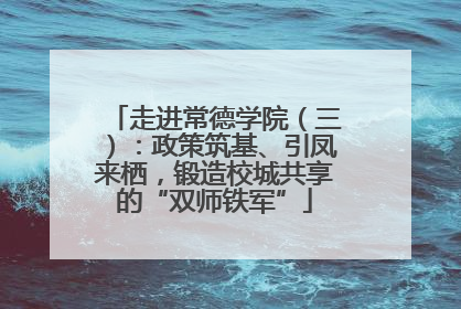 走进常德学院（三）：政策筑基、引凤来栖，锻造校城共享的“双师铁军”