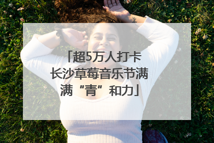 超5万人打卡 长沙草莓音乐节满满“青”和力
