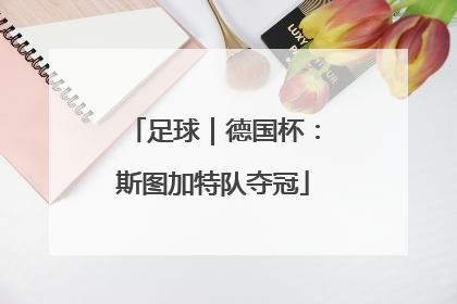 足球｜德国杯：斯图加特队夺冠