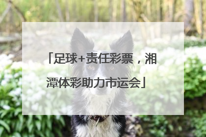 足球+责任彩票，湘潭体彩助力市运会