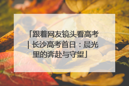 跟着网友镜头看高考｜长沙高考首日：晨光里的奔赴与守望