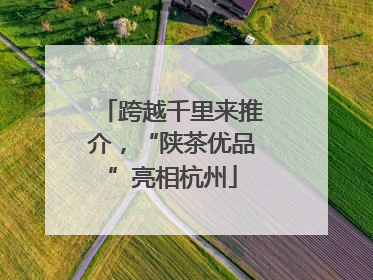 跨越千里来推介，“陕茶优品”亮相杭州