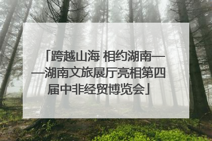 跨越山海 相约湖南——湖南文旅展厅亮相第四届中非经贸博览会