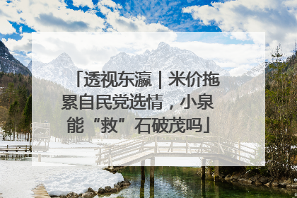 透视东瀛｜米价拖累自民党选情，小泉能“救”石破茂吗