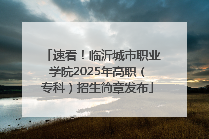 速看！临沂城市职业学院2025年高职（专科）招生简章发布