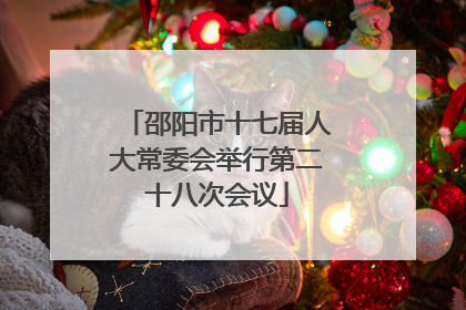 邵阳市十七届人大常委会举行第二十八次会议