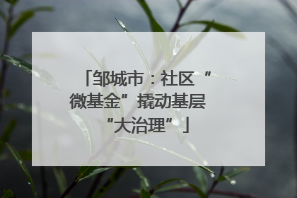 邹城市：社区“微基金”撬动基层“大治理”