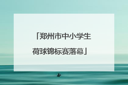 郑州市中小学生荷球锦标赛落幕