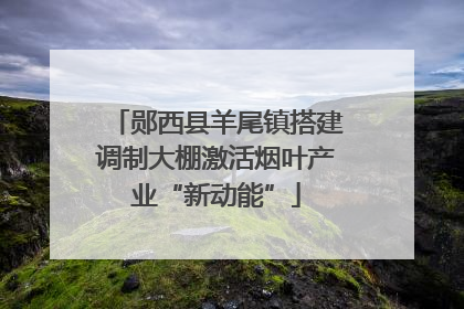 郧西县羊尾镇搭建调制大棚激活烟叶产业“新动能”