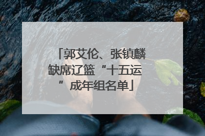 郭艾伦、张镇麟缺席辽篮“十五运”成年组名单