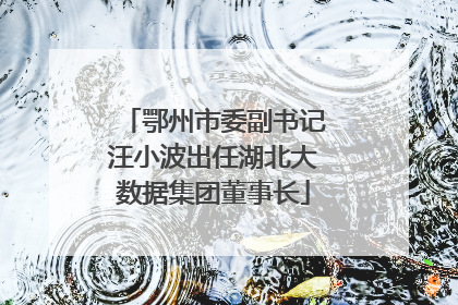 鄂州市委副书记汪小波出任湖北大数据集团董事长