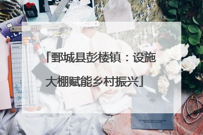 鄄城县彭楼镇：设施大棚赋能乡村振兴