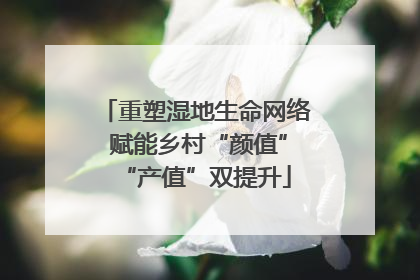 重塑湿地生命网络 赋能乡村“颜值”“产值”双提升