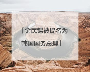 金民锡被提名为韩国国务总理