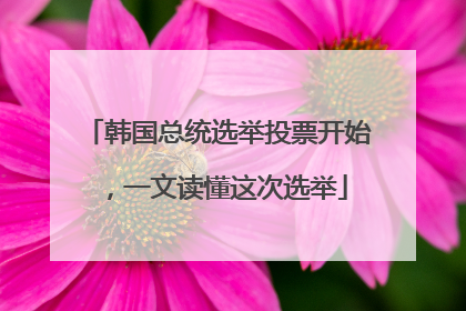 韩国总统选举投票开始，一文读懂这次选举