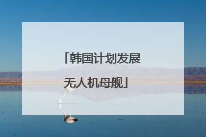 韩国计划发展无人机母舰