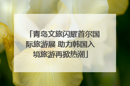 青岛文旅闪耀首尔国际旅游展 助力韩国入境旅游再掀热潮