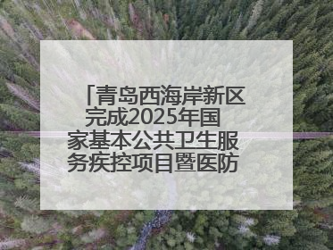 青岛西海岸新区完成2025年国家基本公共卫生服务疾控项目暨医防融合督导工作