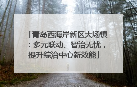 青岛西海岸新区大场镇：多元联动、智治无忧，提升综治中心新效能