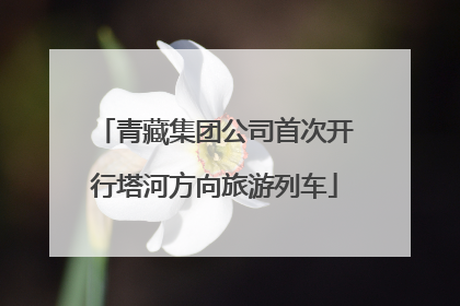 青藏集团公司首次开行塔河方向旅游列车