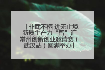 非武不栖 进无止境 新质生产力“智”汇常州创新创业邀请赛（武汉站）圆满举办