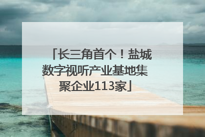 长三角首个！盐城数字视听产业基地集聚企业113家