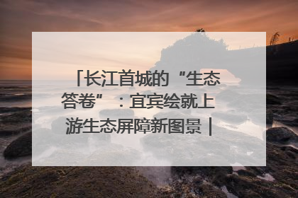 长江首城的“生态答卷”：宜宾绘就上游生态屏障新图景｜中华环保世纪行